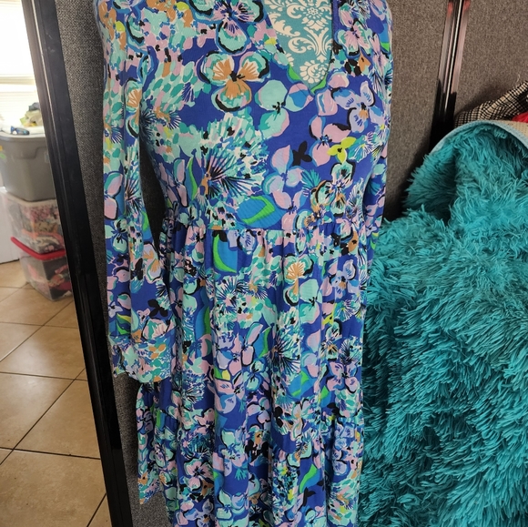 Lilly pulitzer dresses - Picture 5 of 7